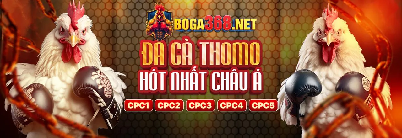 Bước 2: Quảng bá web hello88