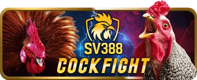 Quà tặng sinh nhật VIP